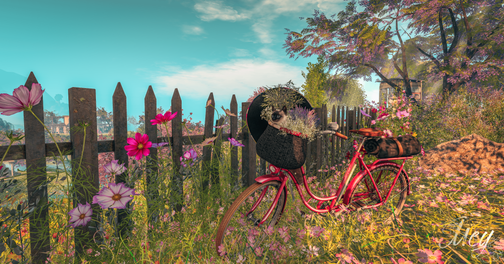 Ready to go on an adventure.